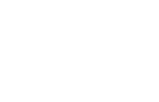The Wellspring Chiropractic Acupuncture website header logo