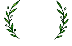 The Wellspring Chiropractic Acupuncture website home logo