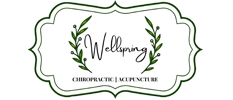 The Wellspring Chiropractic Acupuncture website footer logo